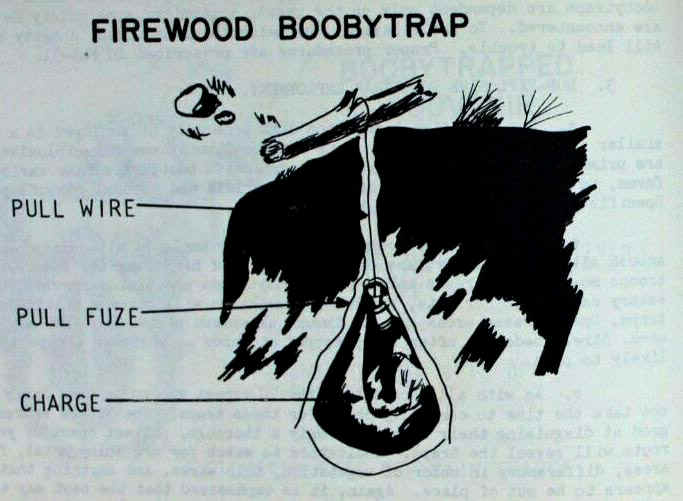 FirewoodBoonyTrap.jpg (105576 bytes)