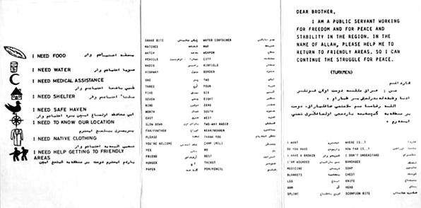 DSpilotchitcard2.jpg (28689 bytes)