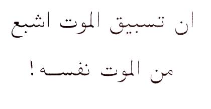 F07B.jpg (6530 bytes)