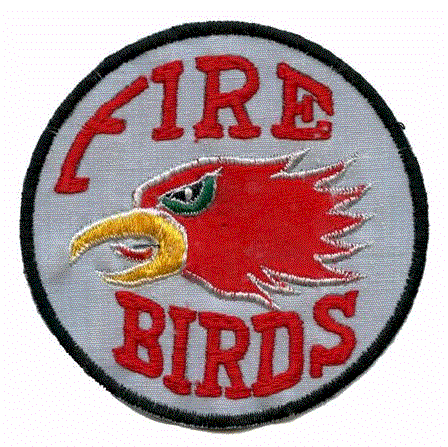 FirebirdsPatchDC.gif (73205 bytes)