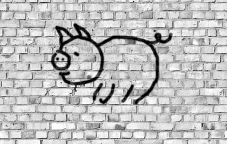 PigGraffitiWall.jpg (228558 bytes)