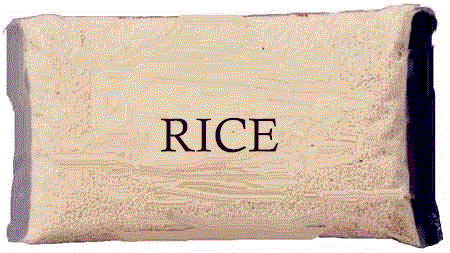 Rice2.gif (36399 bytes)